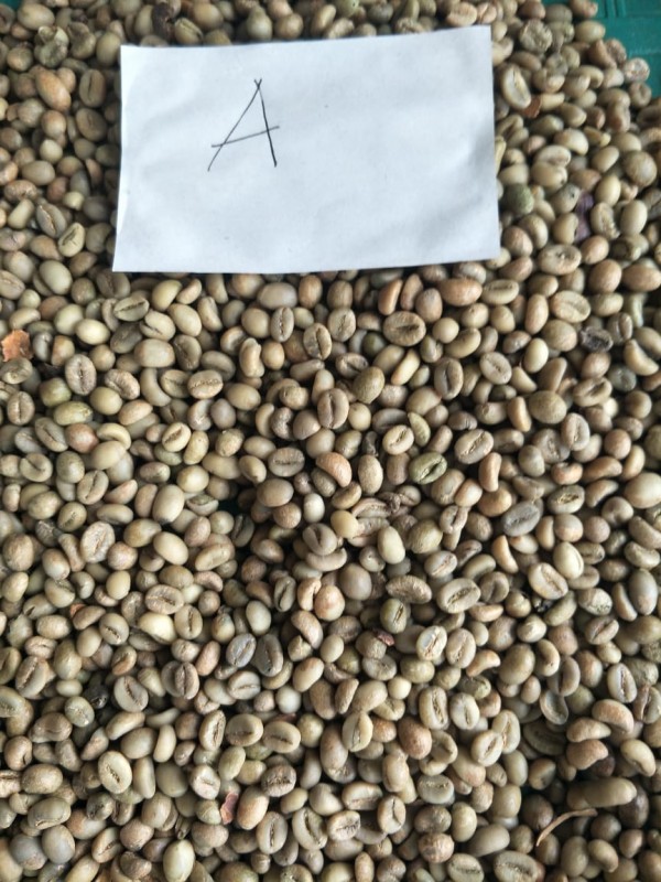 Natural Coffee Bean from Indonesia